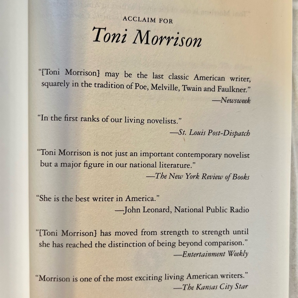The Bluest Eye by Toni Morrison - Picture 3 of 5